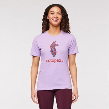 Organic Altitude Llama T-Shirt – Wisteria S for Her