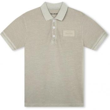 Zadig Polo Garçon 16A à Couleur Voltaire