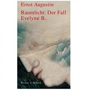 Raumlicht: Der Fall Evelyne B.: Roman