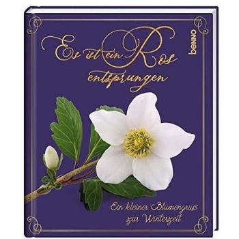 Es Ist Ein Ros Entsprungen: Ein Kleiner Blumengruß Zur Winterzeit