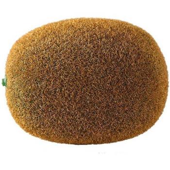 Fake Kiwifruit Photography Prop