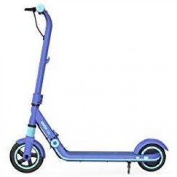 Ninebot by Segway eKickScooter Zing E8