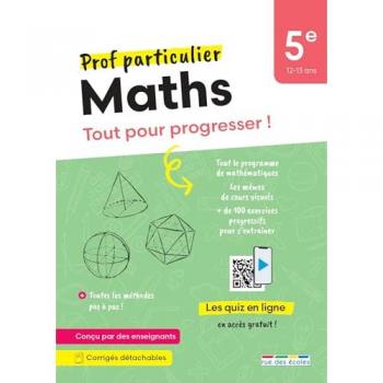 Prof particulier