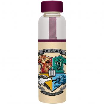 Botella de Vidrio Borosilicato Harry Potter 500ml