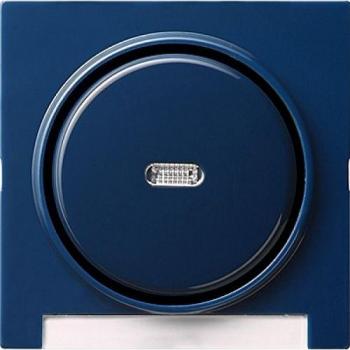 Gira Wippe Kontrollfeld S 067046 in Blau