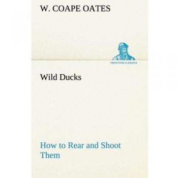 Wild Ducks How to Rear and Shoot Them