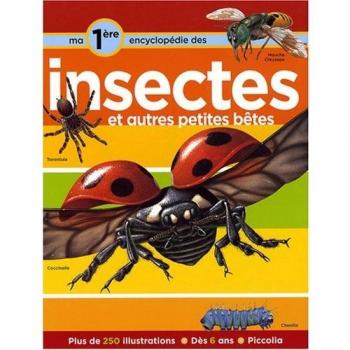 Helen Flint Ma Première Encyclopédie Sur Les Insectes : Et Autres Petites Bêtes