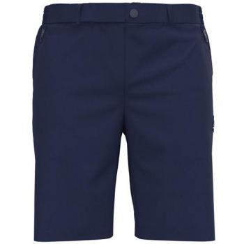 Short Ascent Odlo Légère Bleu 48 Masculin