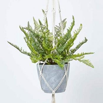 Green Fern in Grey Pot, 95 cm