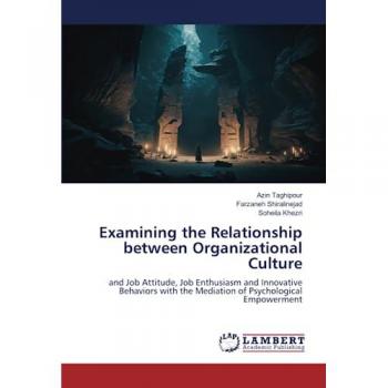 Taghipour, Azin: Examining the Relationship between Organizational Culture