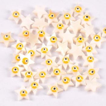 DIY Jewelry Making Shell Beads