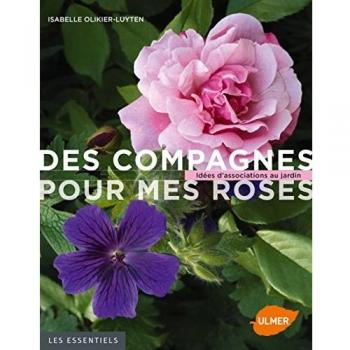 Des Compagnes Pour Mes Roses