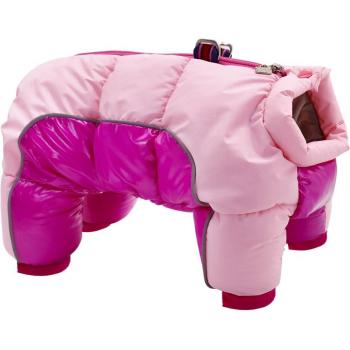 Waterproof Puppy Coat for Winter
