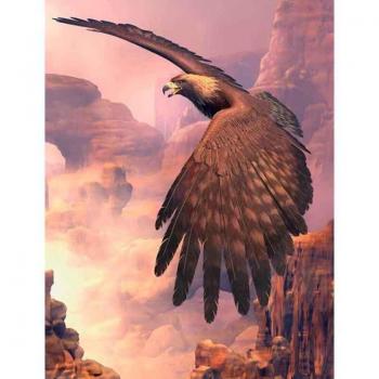 Aviator's Dream Diamond Painting 20x30cm