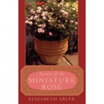 The Secrets of the Miniature Rose by Elizabeth Abler