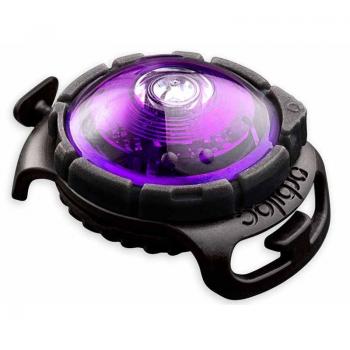 Orbiloc LED Dog Safety Light