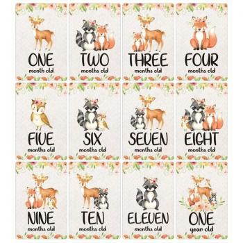 Baby Growth Milestone Cards