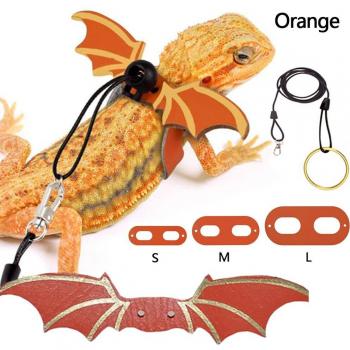 Anti-Bite Bearded Dragon Leash