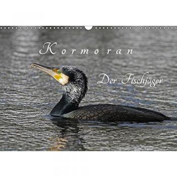 Kormoran. Der Fischjäger