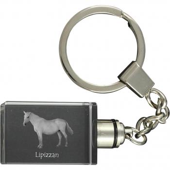 Pendentif photo de cheval Lipizzan
