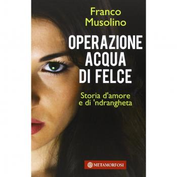 Operazione acqua di felce. Storia d'amore e di 'ndrangheta