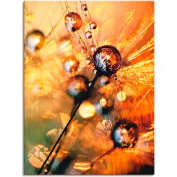 Energie-Pusteblume – Artland Leinwandbild (Single)