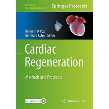 Cardiac Regeneration