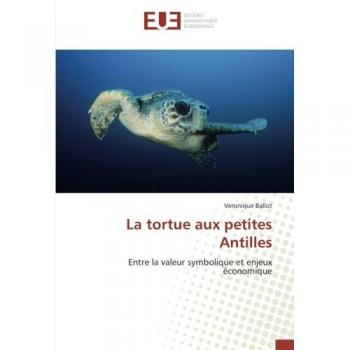 La tortue aux petites Antilles