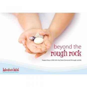 BEYOND THE ROUGH ROCK By Di Stubbs (Paperback / softback) (9780953912377)