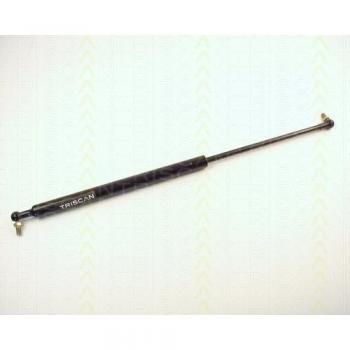 Triscan 871014207 Truck Trunk Gas Support