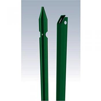 Lancetta Luminosa saetta, 2.5 x 150 cm, Plastificata, Verde