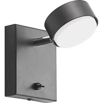 Kaylou Metal Wall Light
