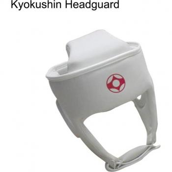 Karate Fighting Headguard