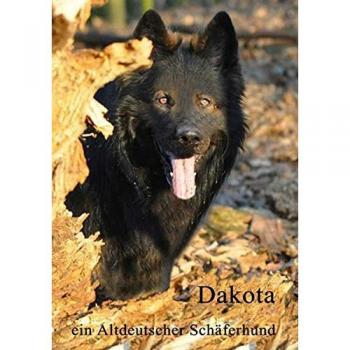 Dakota: ein altdeutscher Schäferhund