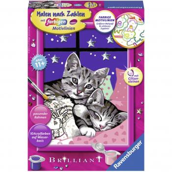Ravensburger Malen nach Zahlen 27995