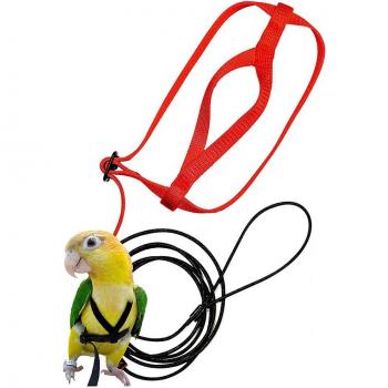 Correa Deportiva para Palomas y Loro Rojo