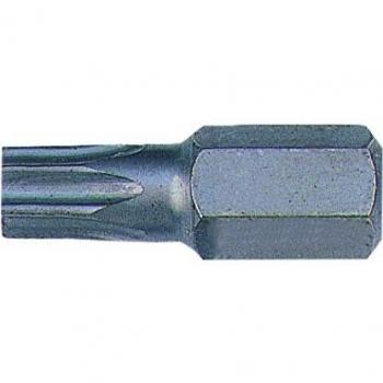 Punta Torx T30 10Mm 30Mm