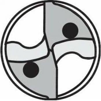 ProSteel Weldon HMI Din 6535 HB TiAlN Punta