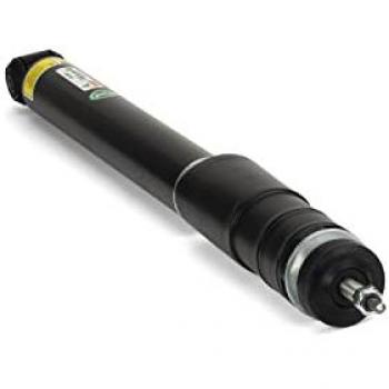 Amortecedor Arnott SK-3039 para Suspensão