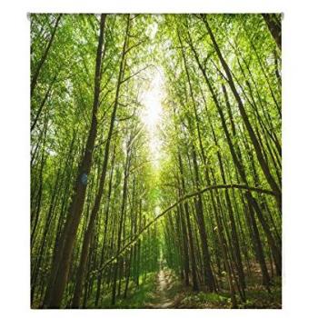 Store Roulant Translucide 130 cm x 180 cm