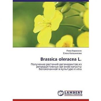 Brassica oleracea L.: Poluchenie rastenij-regenerantow iz reproduktiwnyh organow kapusty belokochannoj w kul'ture in vitro