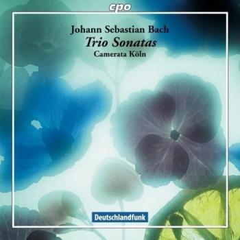 Sonate trio BWV 525 527 1027 1028 et 1029