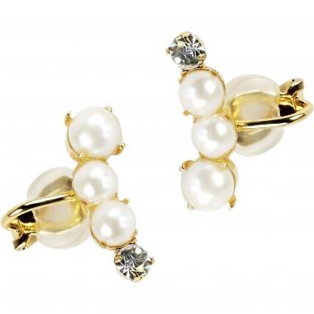 Oreille Mignonne