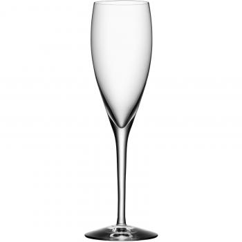 Premium 4-Piece Champagne Glasses