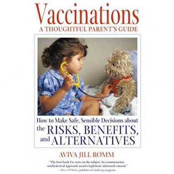 Vaccinations A Thoughtful Parents Guide by Aviva Jill Romm