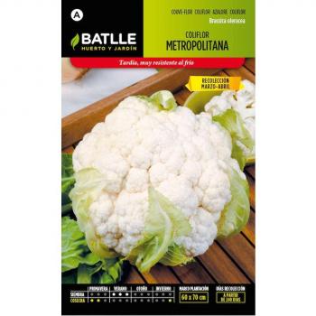 Batlle Coliflor Metro 24