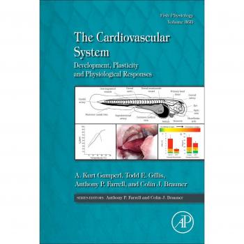 The Cardiovascular System: Development, Plasticity and Physiological Responses: Volume 36B