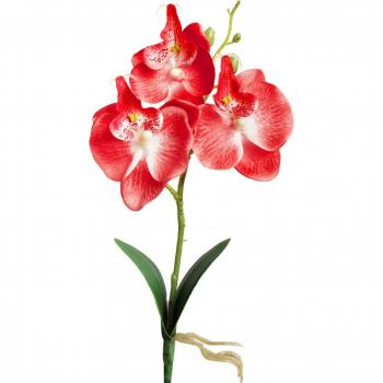 Orquídea 25cm – Elegante Detalle de Boda en Seda y Mariposa