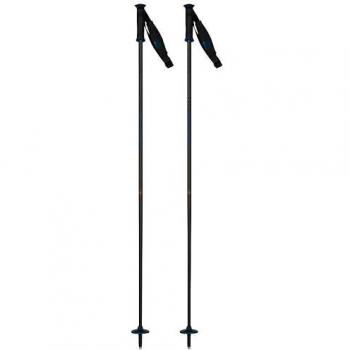 Rossignol Blue Electra Carbon Poles