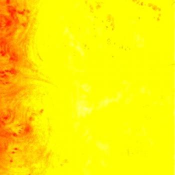 Papel Lamina Mini Raíz 90x200 cm